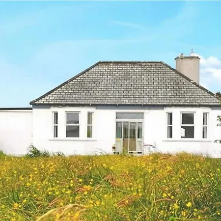 Nature Retreat - Sleeps 4 & Wild Ponies Tullaghanbaun