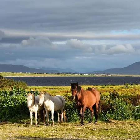 Nature Retreat - Sleeps 4 & Wild Ponies Дом отдыха