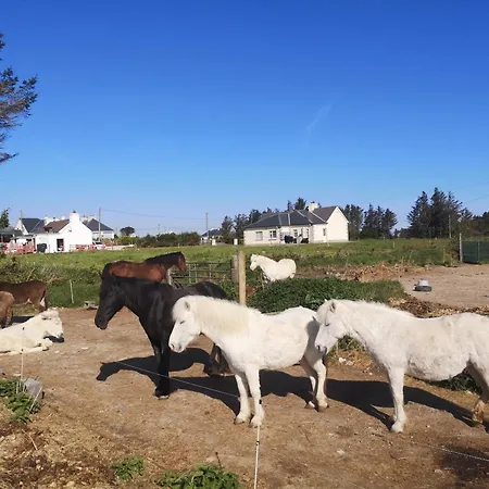 Nature Retreat - Sleeps 4 & Wild Ponies Дом отдыха *