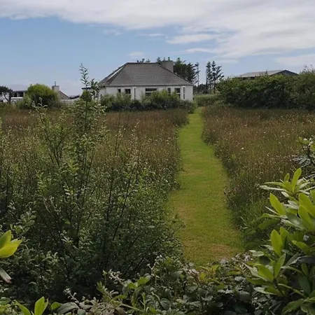 Nature Retreat - Sleeps 4 & Wild Ponies